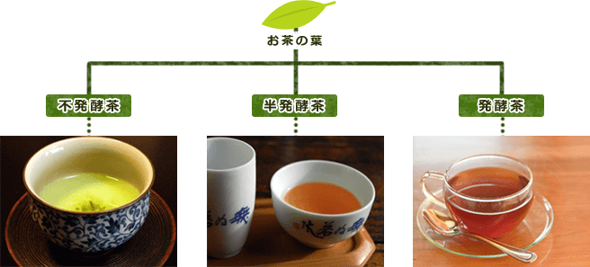 お茶の種類